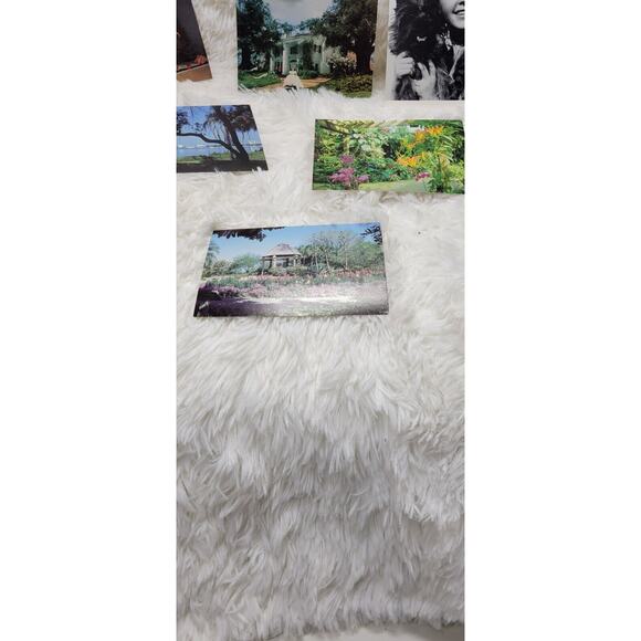 Lot of 6 Vintage Movie Star, Botanical, The Beatles Unused Postcards - Picture 5 of 11